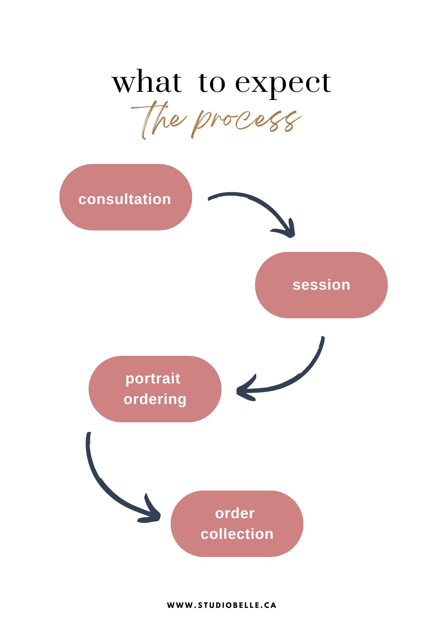 Flow diagram showing the process: consultation → session → portrait ordering → order collection, with arrows guiding the steps and the site URL at the bottom.
